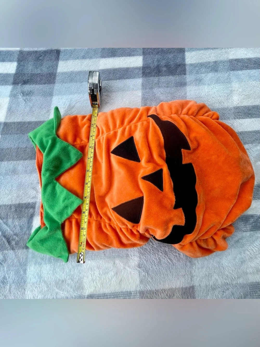 Set of dog clothes